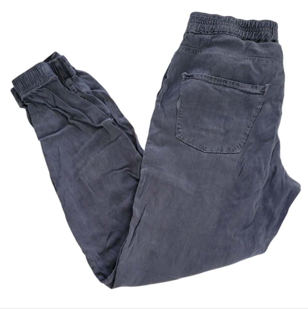 Fillmore Gray Casual Jogger Pant